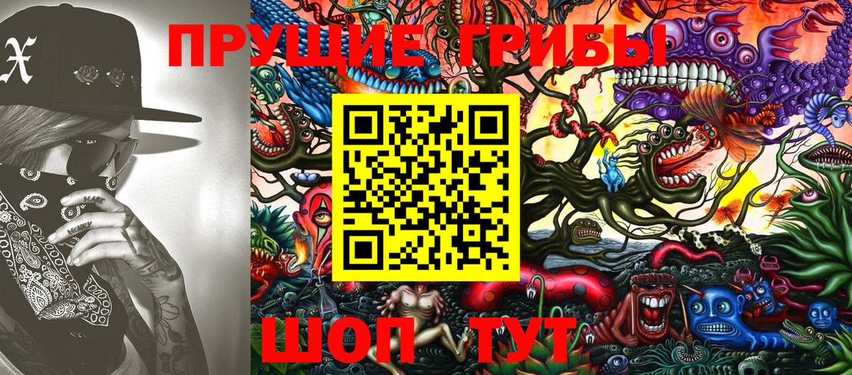 Псилоцибиновые грибы Cubensis Тихорецк