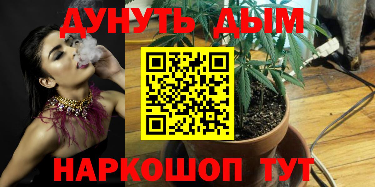 Шишки марихуана конопля  МАРИХУАНА THC 21%  Бошки Шишки семена  Вход с VPN  Тихорецк 