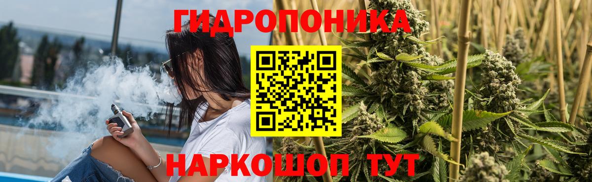 Шишки марихуана OG Kush Тихорецк